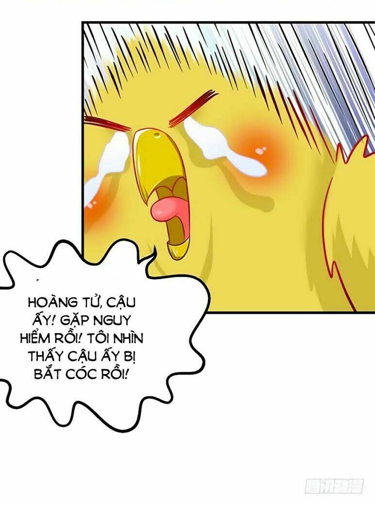 Thâm Hải Chi Ca: Chapter 15