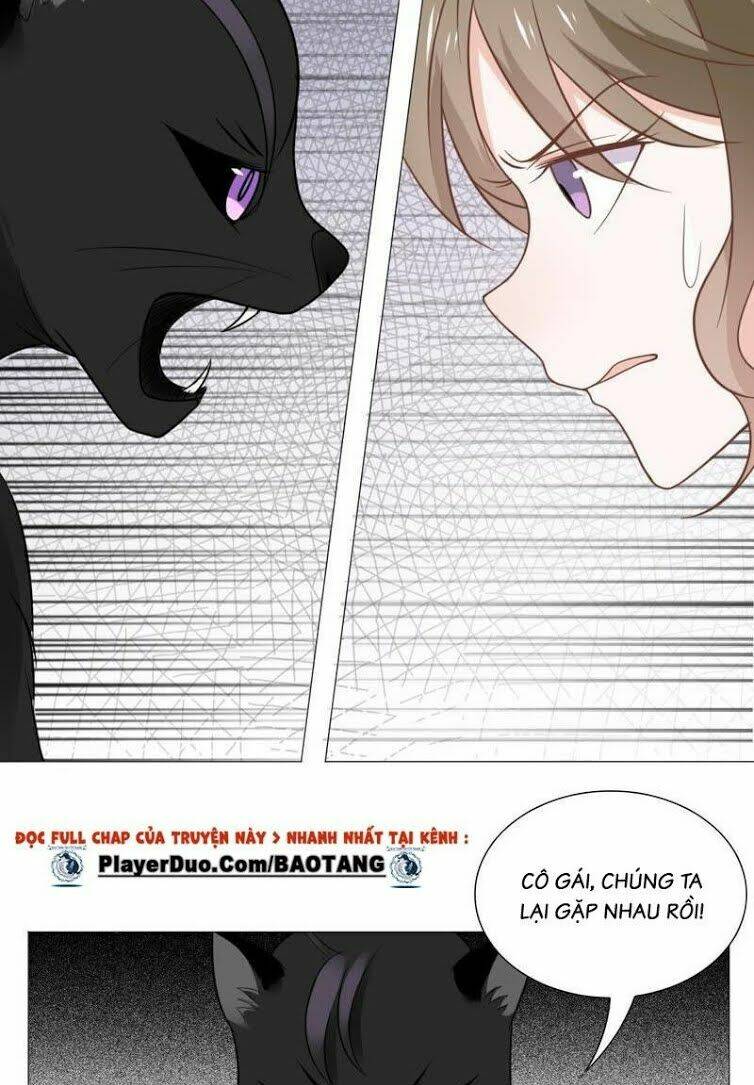 Thập Nhị Hắc Miêu: Chapter 10