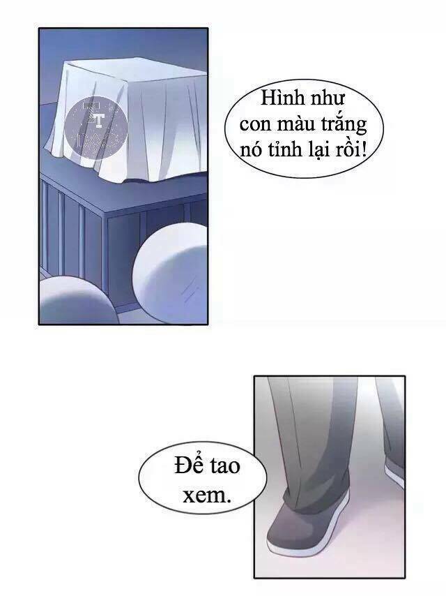 Dưới Móng Vuốt Mèo: Chapter 14