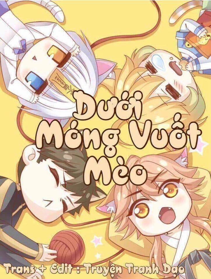 Dưới Móng Vuốt Mèo: Chapter 4