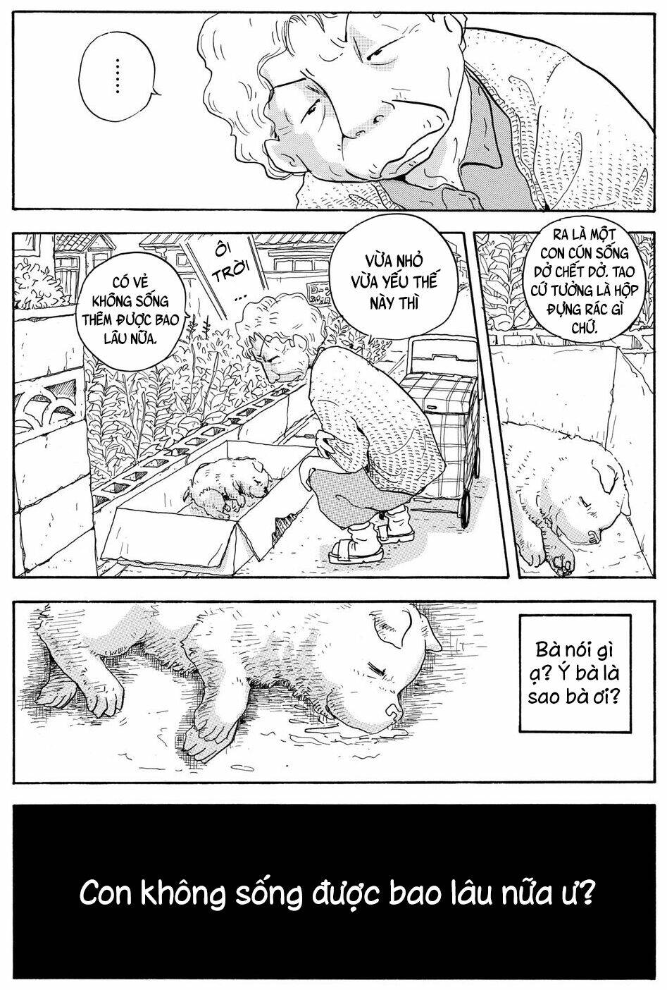 Hoshi Mamoru Inu: Chapter 7