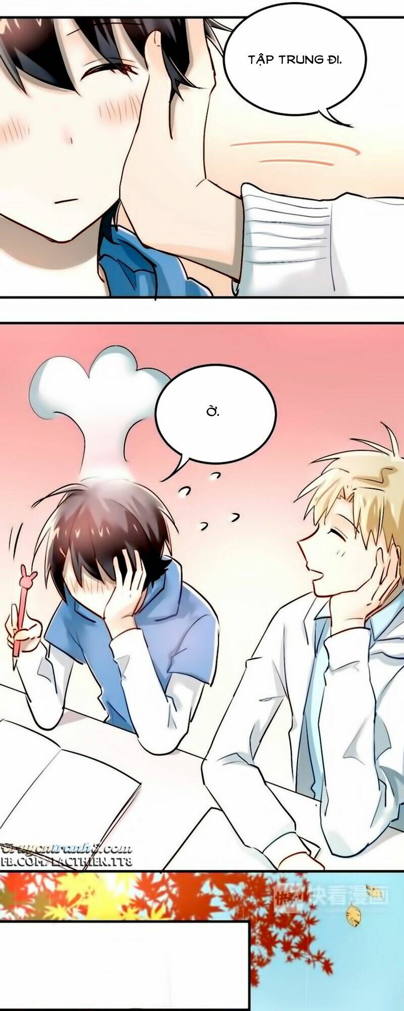 Đầu Gấu Biết Yêu: Chapter 16