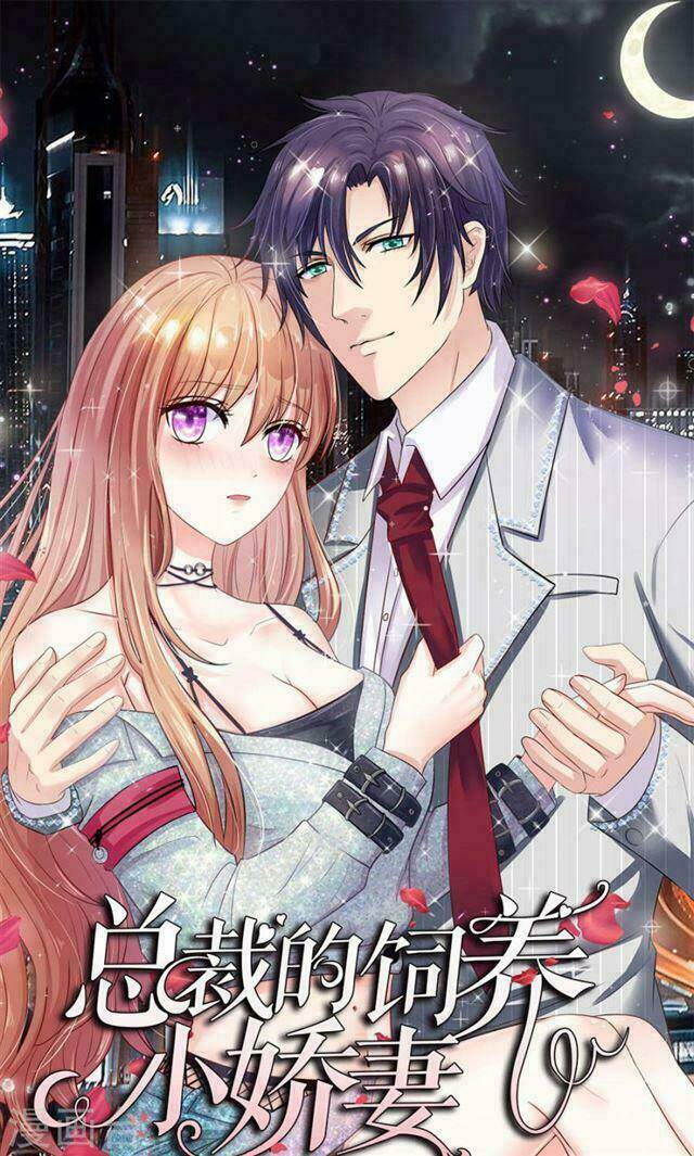 Hành Trình Thuần Hóa Vợ Nhỏ Của Tổng Tài: Chapter 4