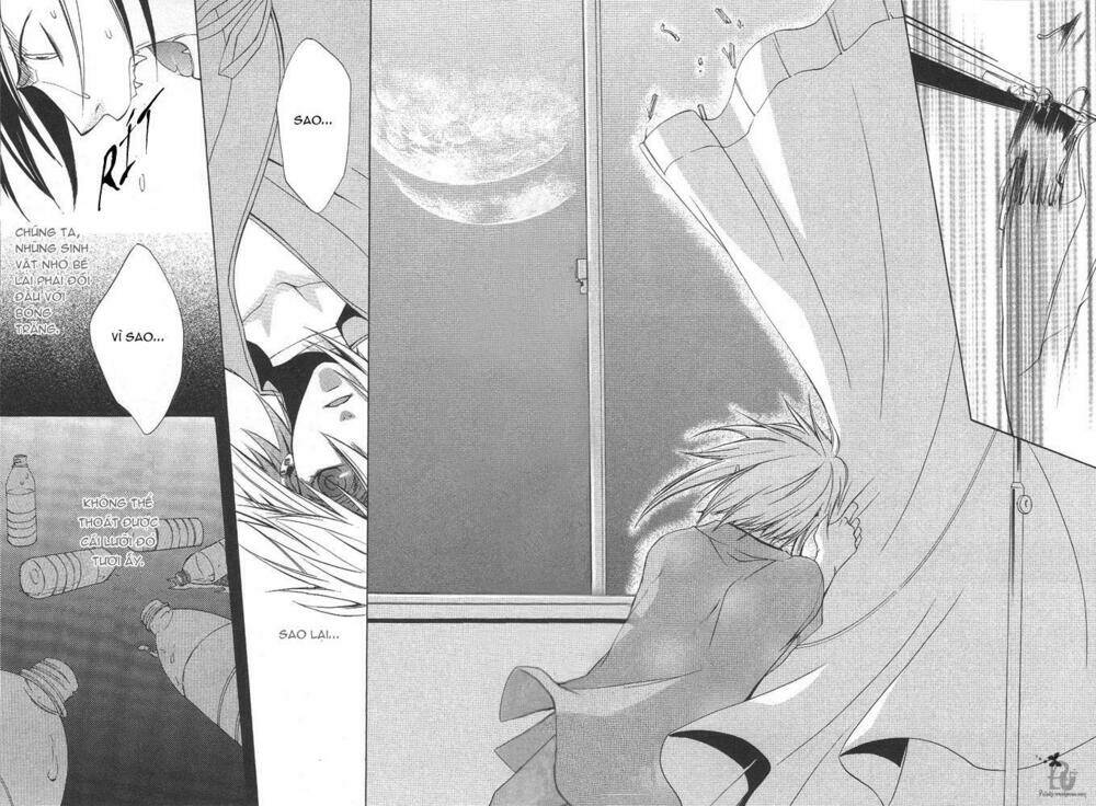 Trường Học Vampire: Chapter 2