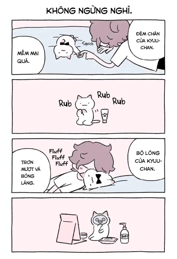 Chú Mèo Kỳ Diệu Kyuu-Chan: Chapter 727