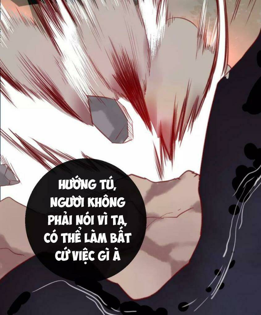 Hồ Minh Chi Hương: Chapter 7