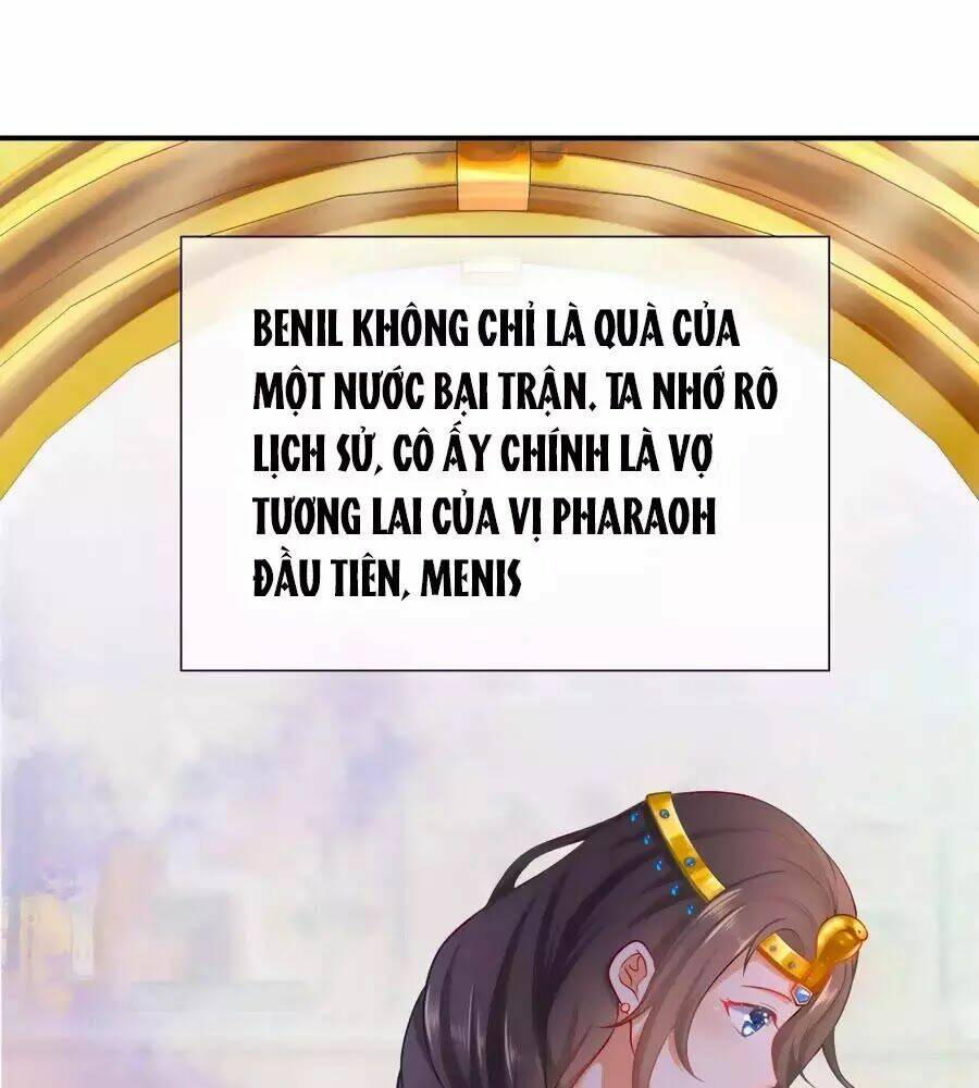 Sủng Hậu Của Vương: Chapter 0