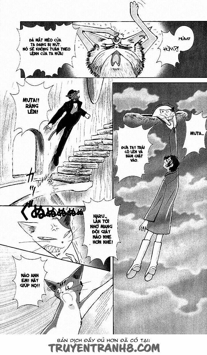 Lời Thì Thầm Từ Trái Tim: Chapter 8