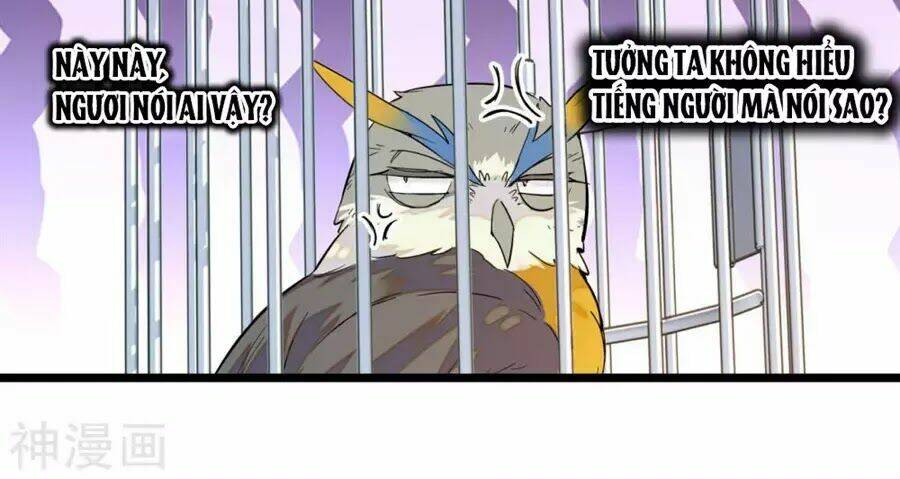 Huyết Túc Khế Ứớc: Chapter 5