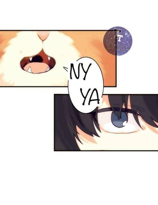 Biểu Đồ Của Linh Mục: Chapter 4