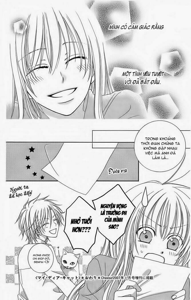 My Dear Cat: Chapter 1