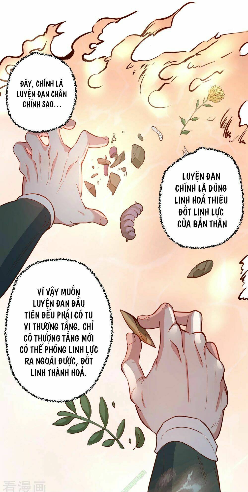 Tối Cường Đại Biểu Hoàng Kim Thận: Chapter 10