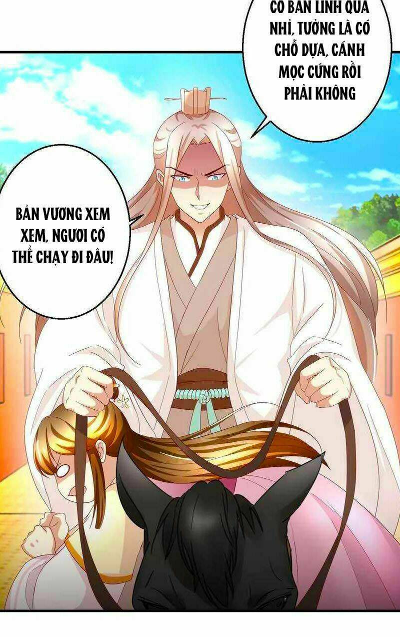 Thuần Phi Ký: Chapter 37