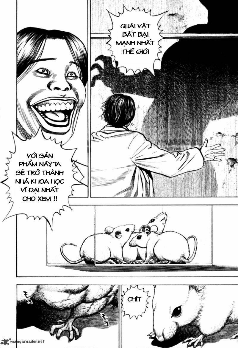 Tough - Miyazawa Kiichi: Chapter 155