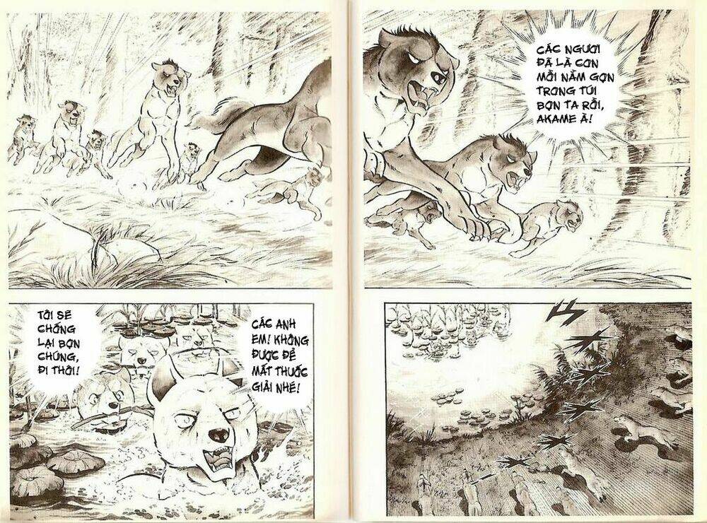 Chú Chó Có Nghĩa - Ginga Nagareboshi Gin: Chapter 19