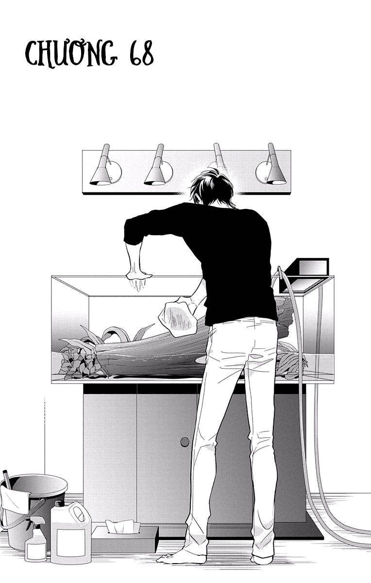 Buổi Xem Mắt Bất Đắc Dĩ: Chapter 68