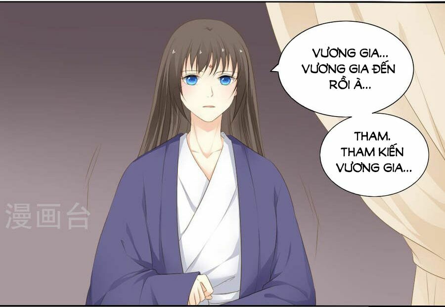 Quy Tự Dao: Chapter 73