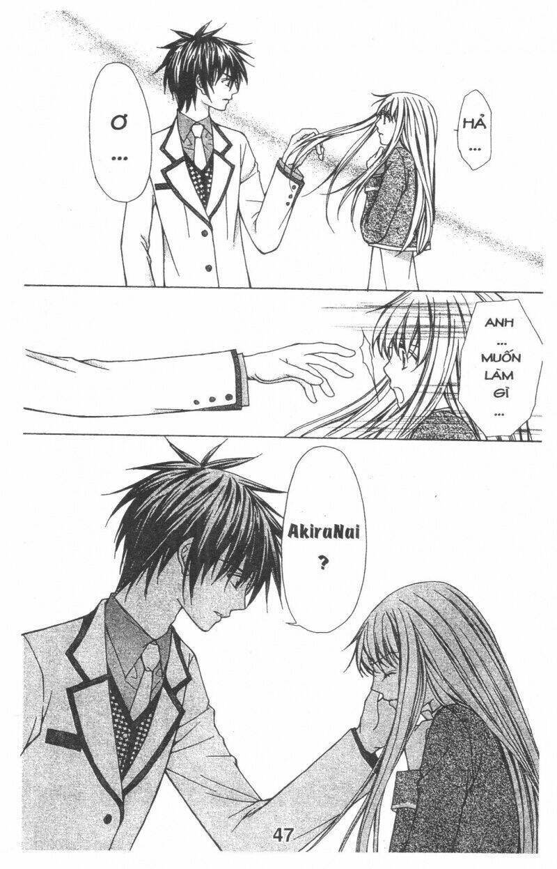 Trái Tim Kim Cương: Chapter 1