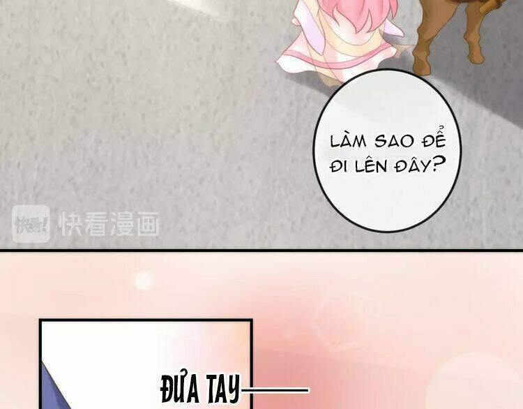 Báo Cáo Vương Gia, Vương Phi Là Một Con Mèo: Chapter 4