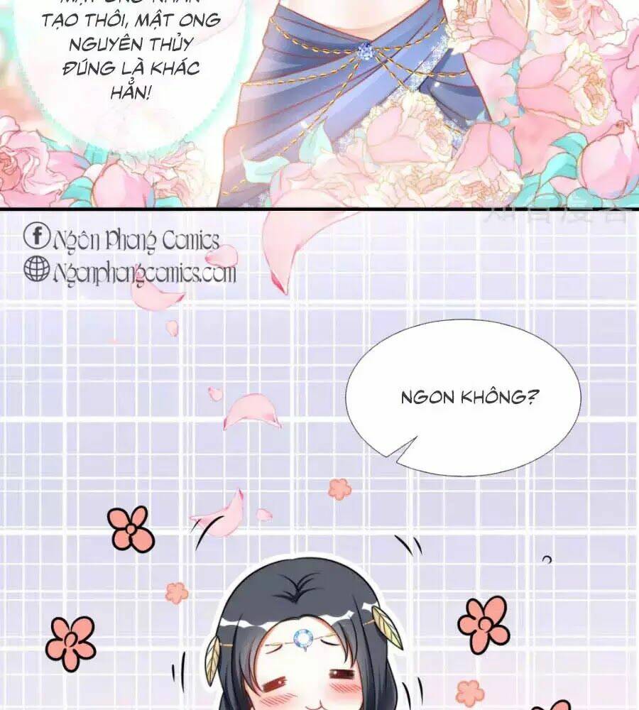 Sủng Hậu Của Vương: Chapter 15