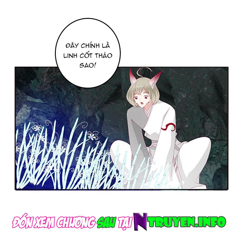 Thông Linh Phi: Chapter 369