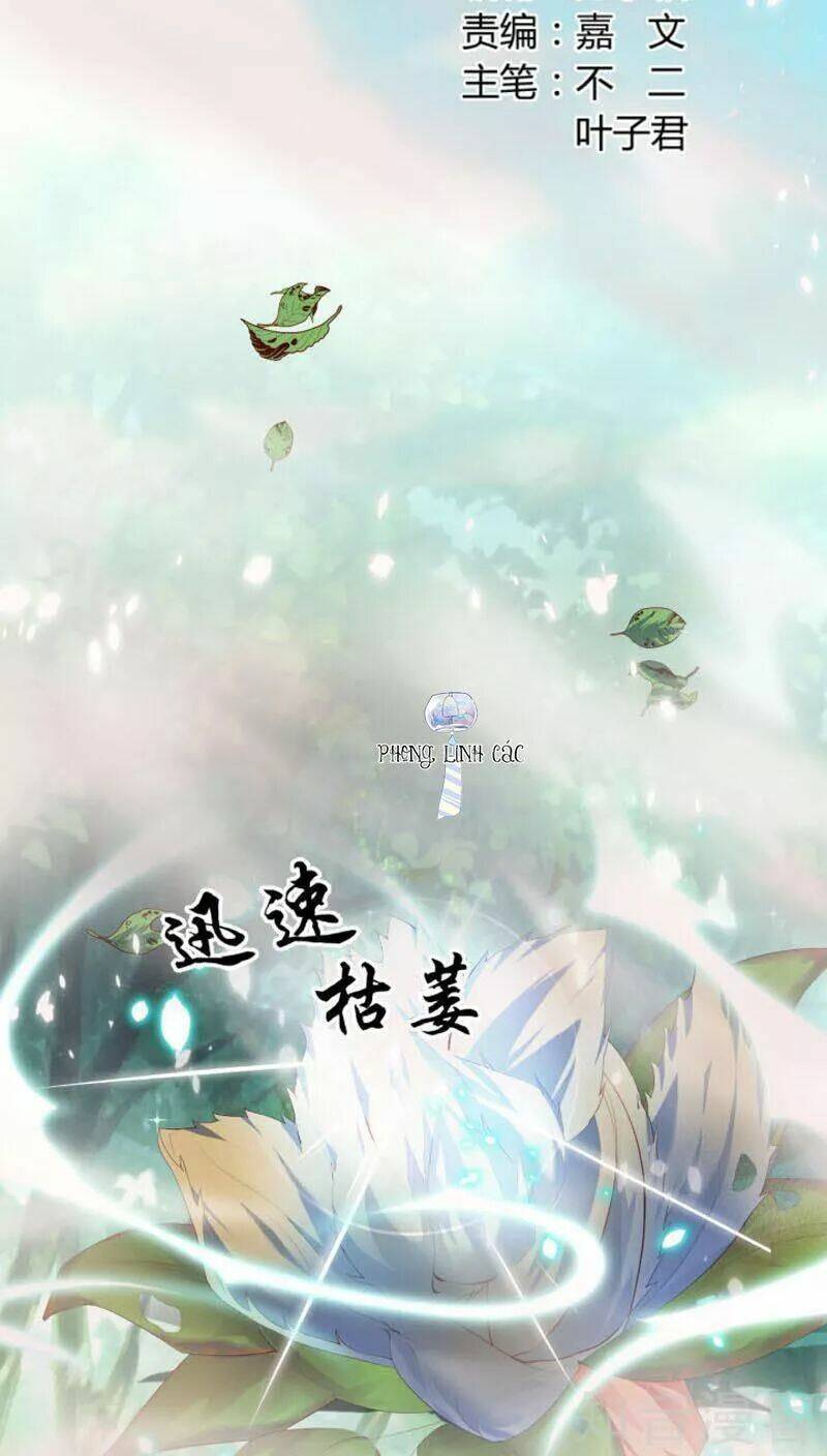 Nam Thần Là Một Đôi: Chapter 51