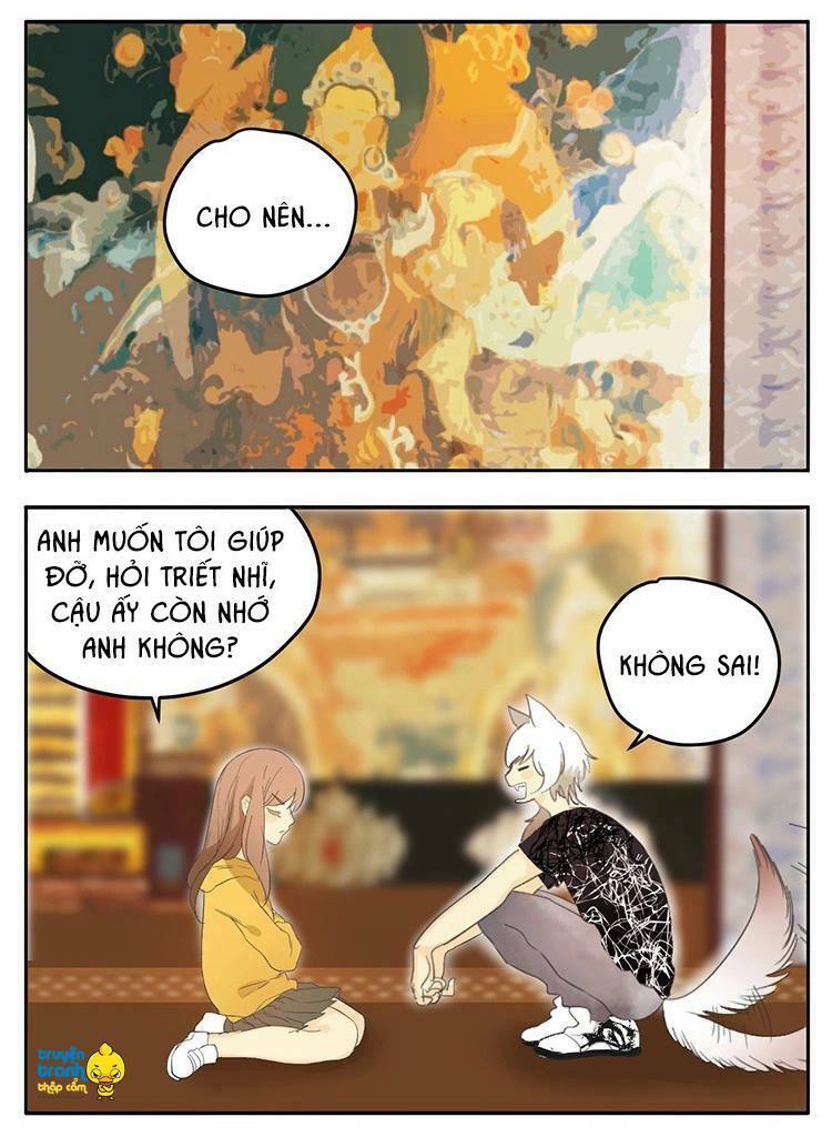 Cứu mạng ! Loài mèo thống trị thế giới rồi !: Chapter 20
