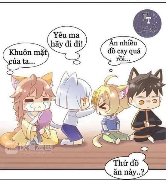 Dưới Móng Vuốt Mèo: Chapter 6