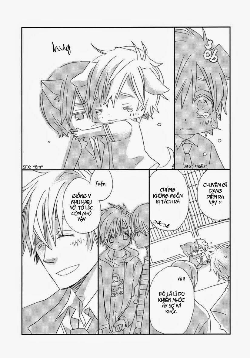 Free! Dj – Neko Haru Inu Mako: Chapter 1