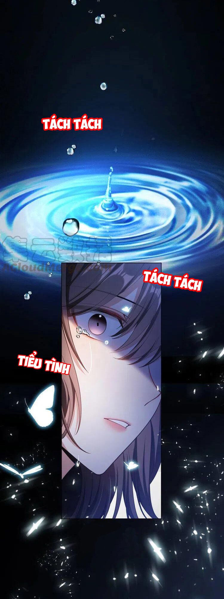 Cô Vợ Nhỏ Nuông Chiều Quá Lại Thành Ác!!: Chapter 217