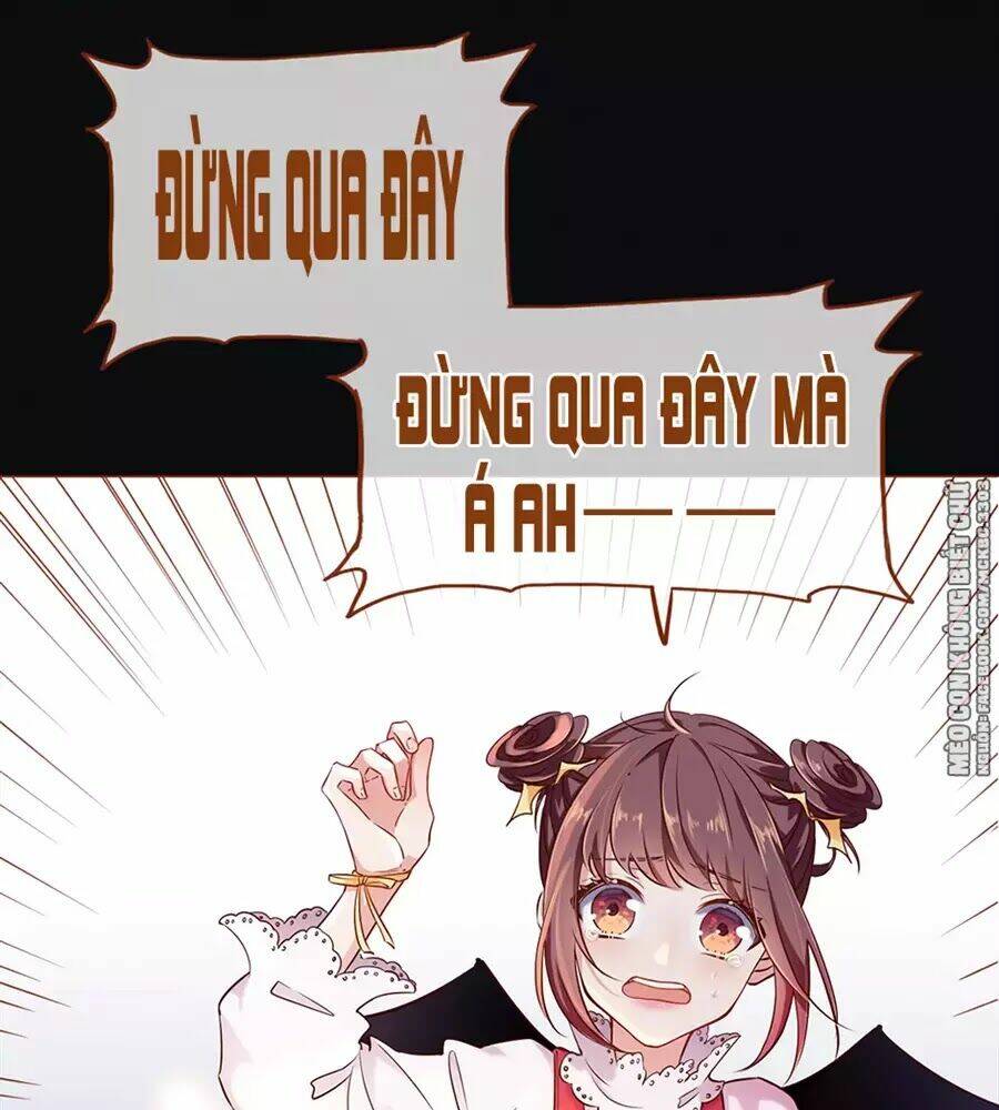 Boss Khủng Bố Chiếm Đoạt Ta: Chapter 1