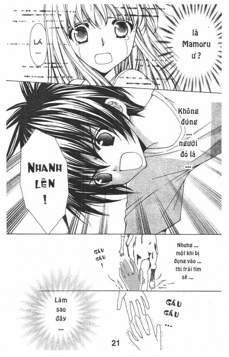 Trái Tim Kim Cương: Chapter 1