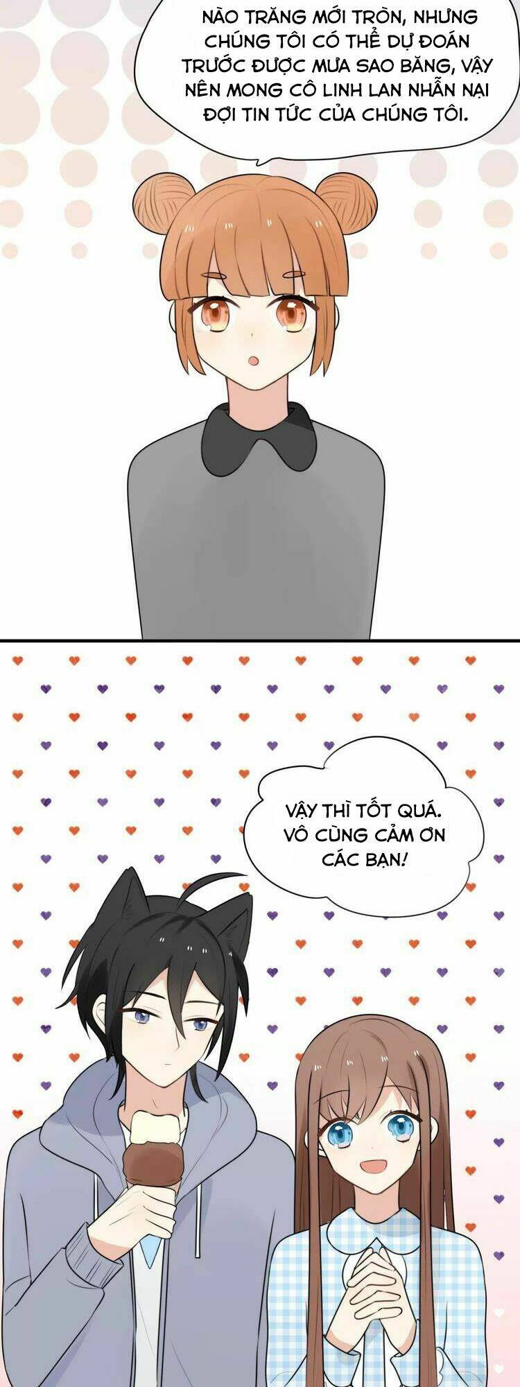 Tiểu Miêu Và Hắc Diệu Thạch: Chapter 3