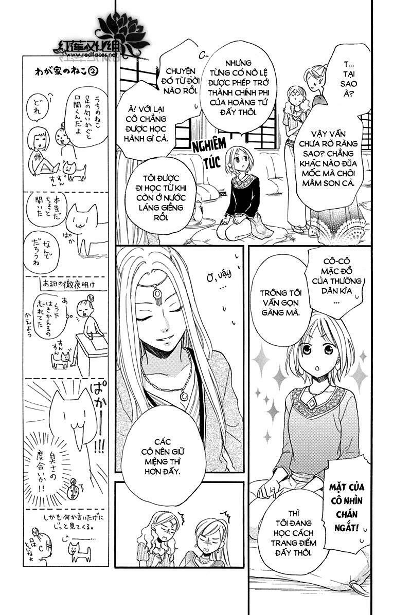 Sabaku no Harem: Chapter 17