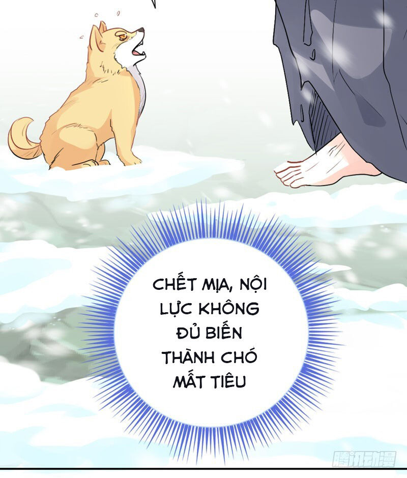 Lụ Đạn, Hôm Nay Lại Cũng Không Thể Biến Thành Người Được: Chapter 1