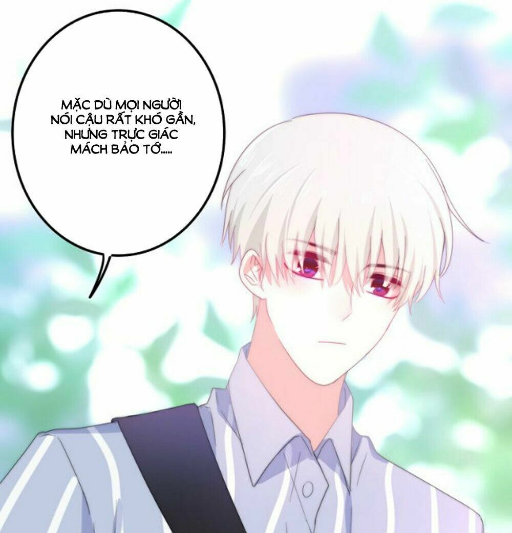 Tháng Sáu Không Hẹn Mà Gặp: Chapter 4