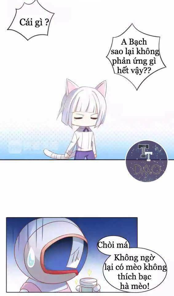 Dưới Móng Vuốt Mèo: Chapter 12