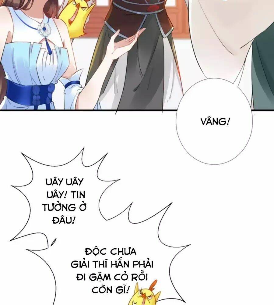 Vương Phi Có Chút Nghịch Ngợm: Chapter 65