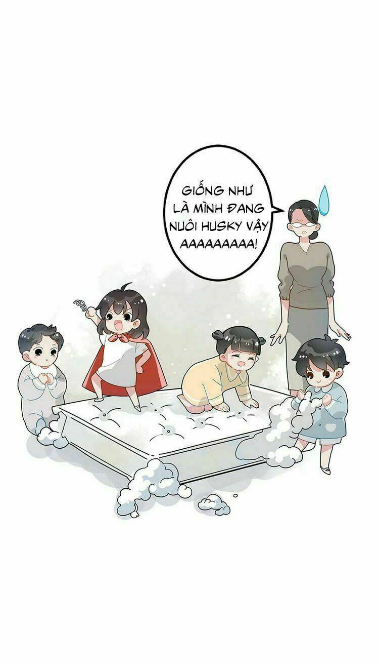Thú Giữ Nhà Của Đường Tây Tử: Chapter 1