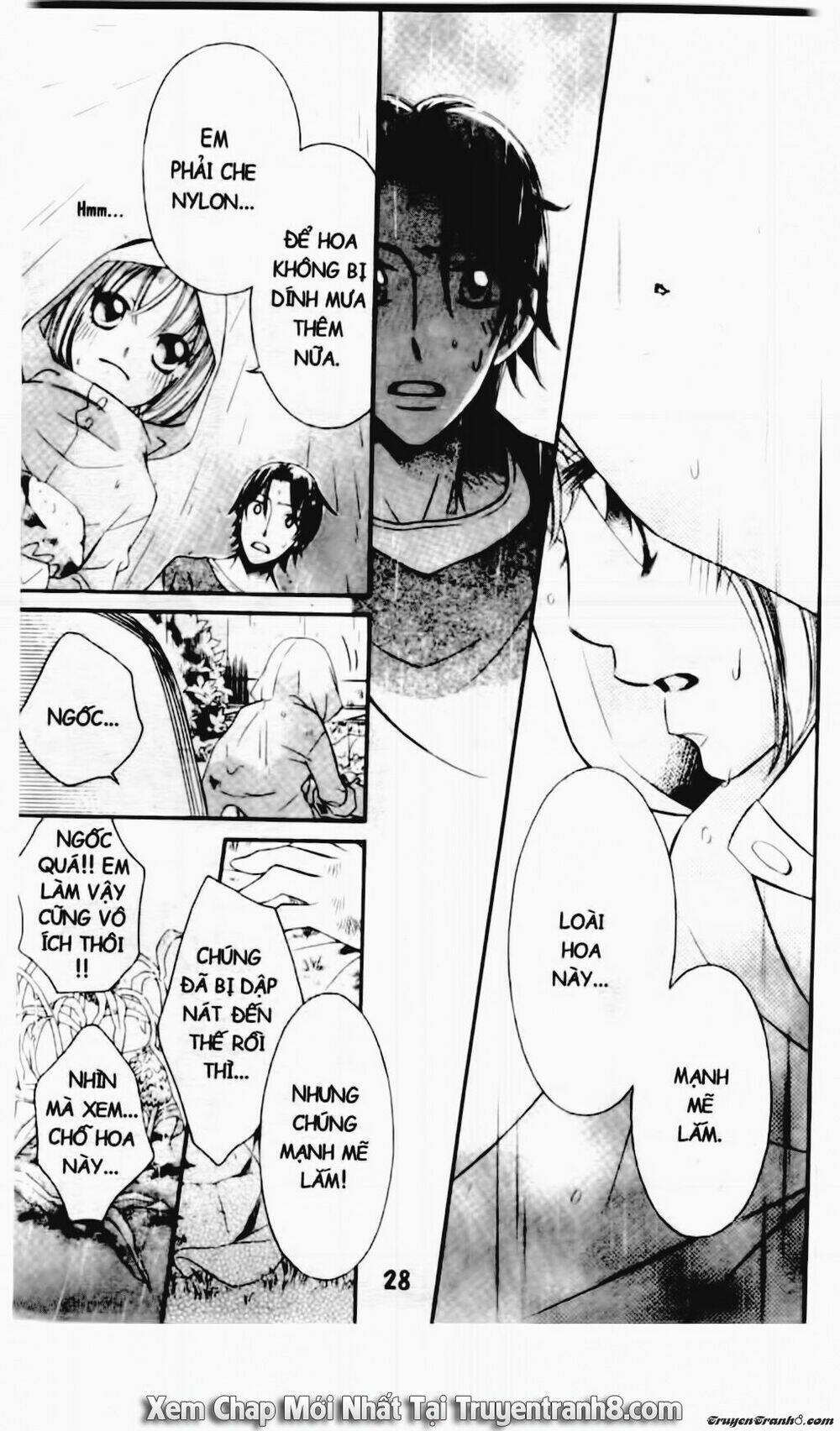 Tiểu Thư Sachie: Chapter 87