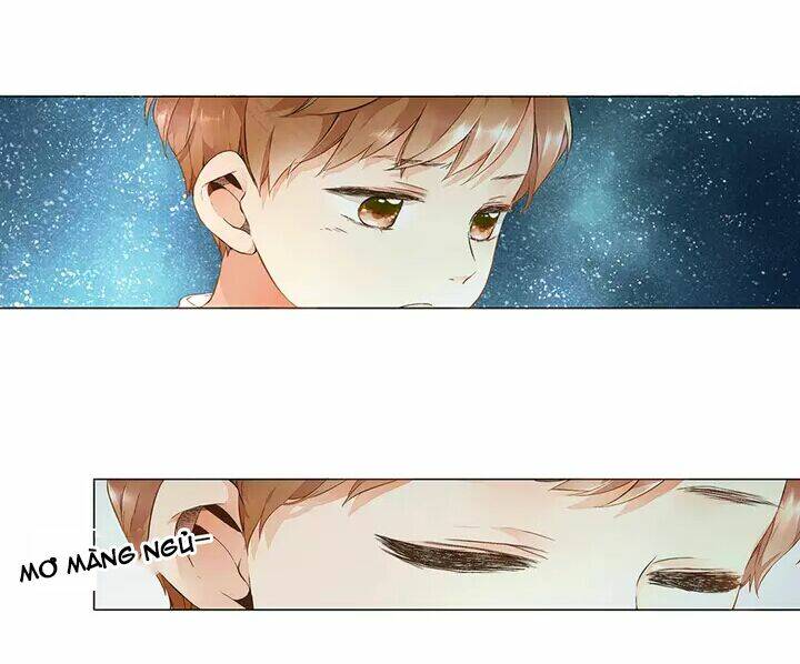 Tình Yêu Là Màu Hoa Anh Thảo: Chapter 16.5