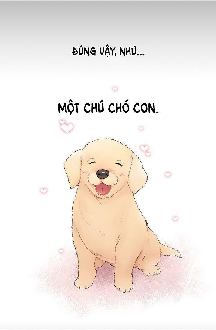 Cô Dâu Của Miêu Hoàng Tử: Chapter 1