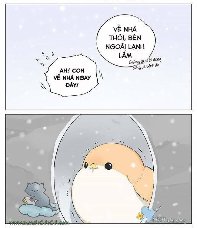 Chim Sẻ Gọi Ngỗng Trời: Chapter 5