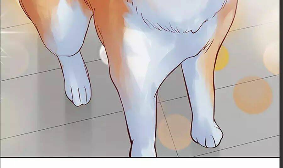 Bạn Trai 1/4 Của Tôi: Chapter 10