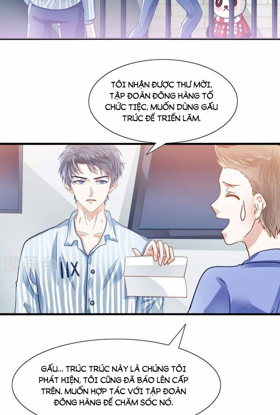 Tôi Bị Gấu Trúc Nhìn Trúng Rồi: Chapter 5