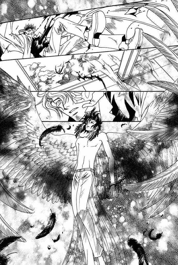 Innocent Bird: Chapter 4