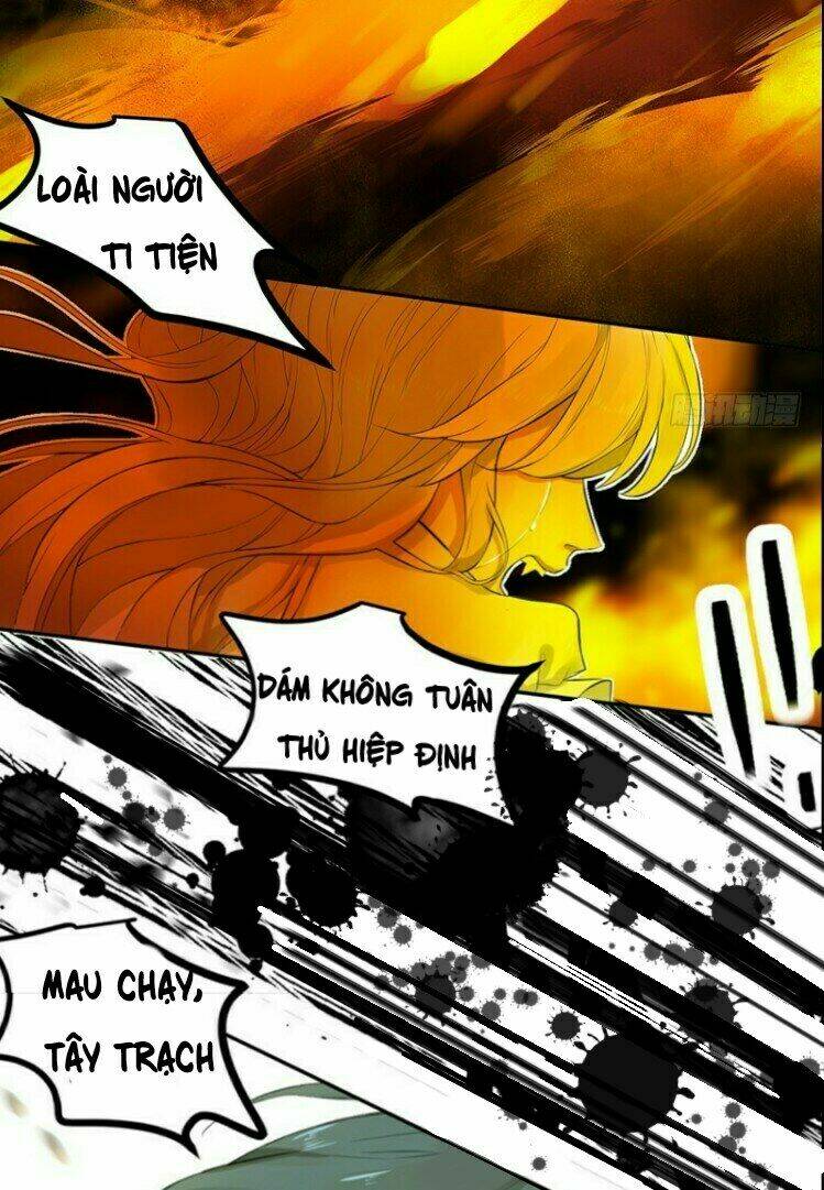 Cứu Mạng! Loài Mèo Thống Trị Thế Giới Rồi!: Chapter 34