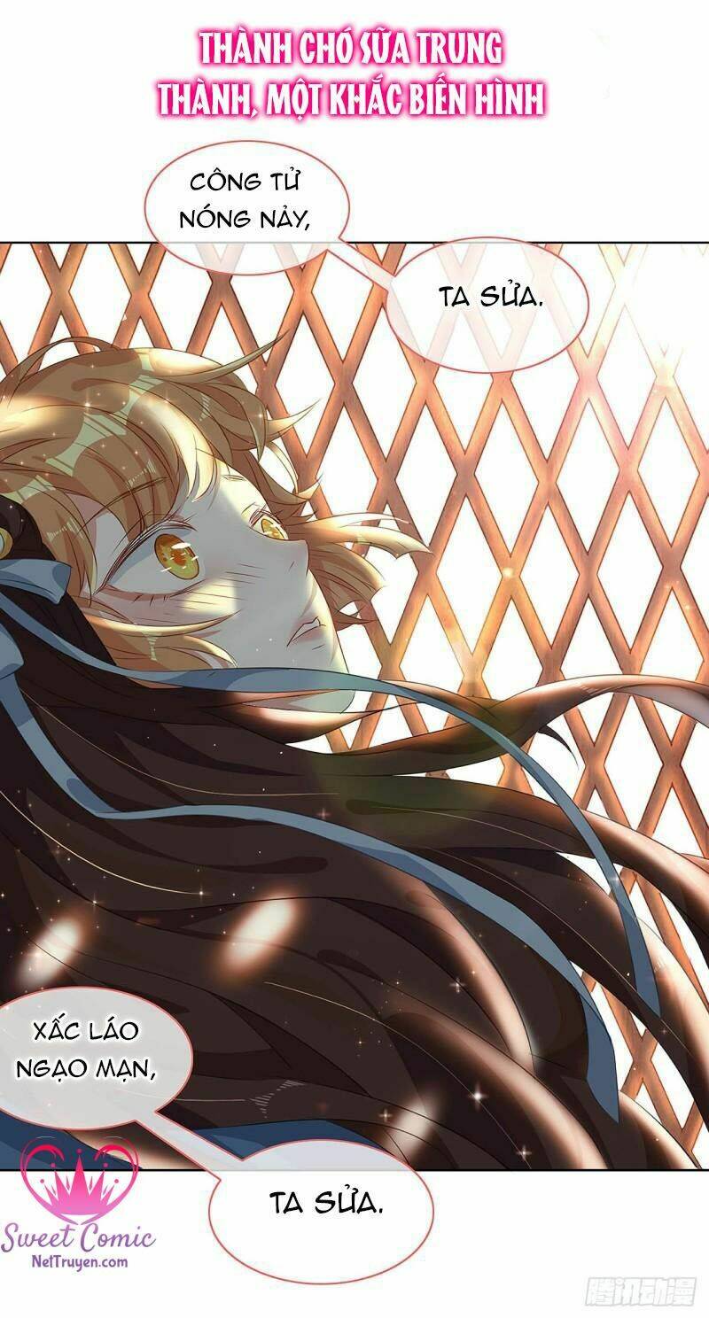 Học Viện Kiêu Ngạo Hoàng Gia: Chapter 0