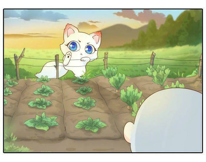 Tiểu Hồ Ly vs Tiểu Hóa Thượng: Chapter 3