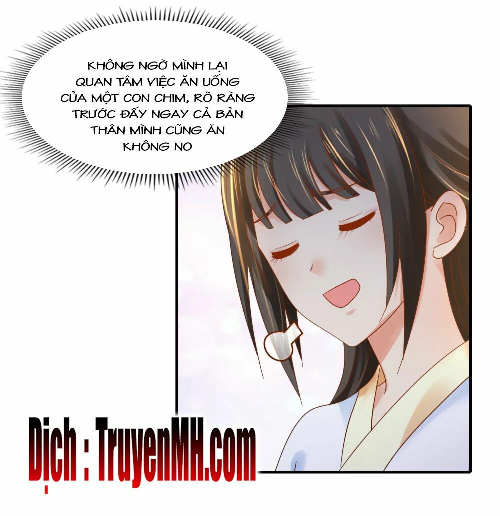 Lãnh Cung Phế Hậu Muốn Nghịch Thiên: Chapter 140